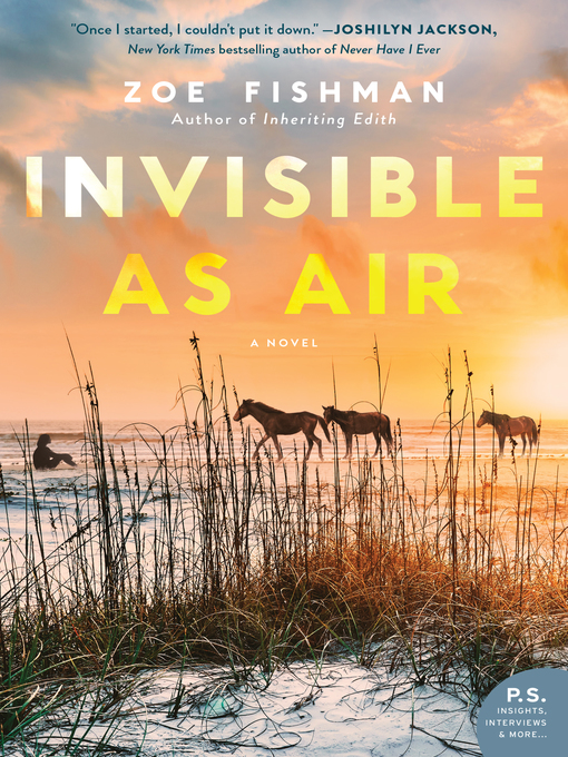 Title details for Invisible as Air by Zoe Fishman - Available